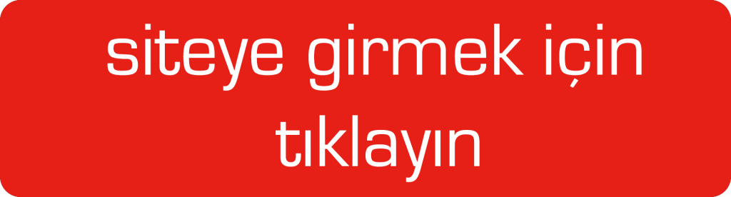 Beşiktaş Travesti Reklam